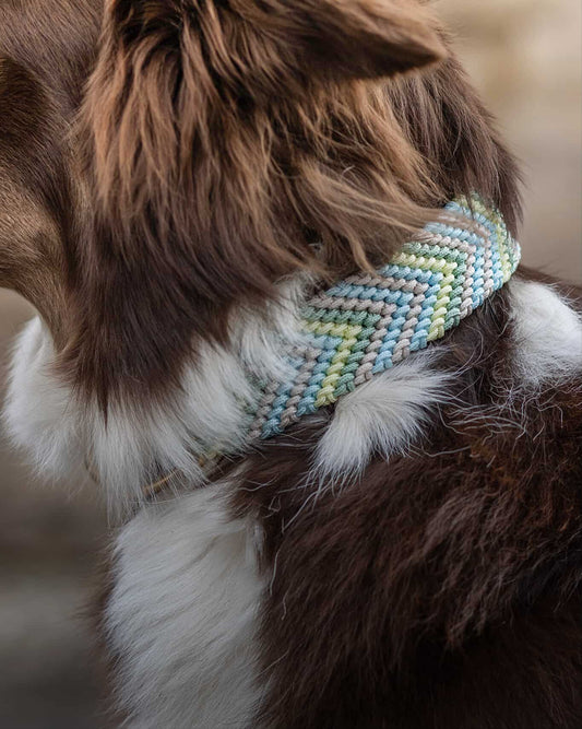 Gino´s Frühlingserwachen