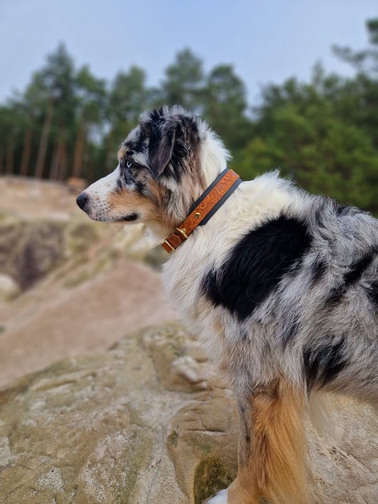 Fettleder Halsband "Florale Eleganz"