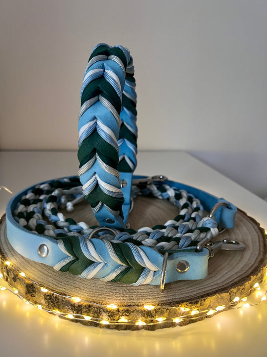 Gino‘s Winter Forest