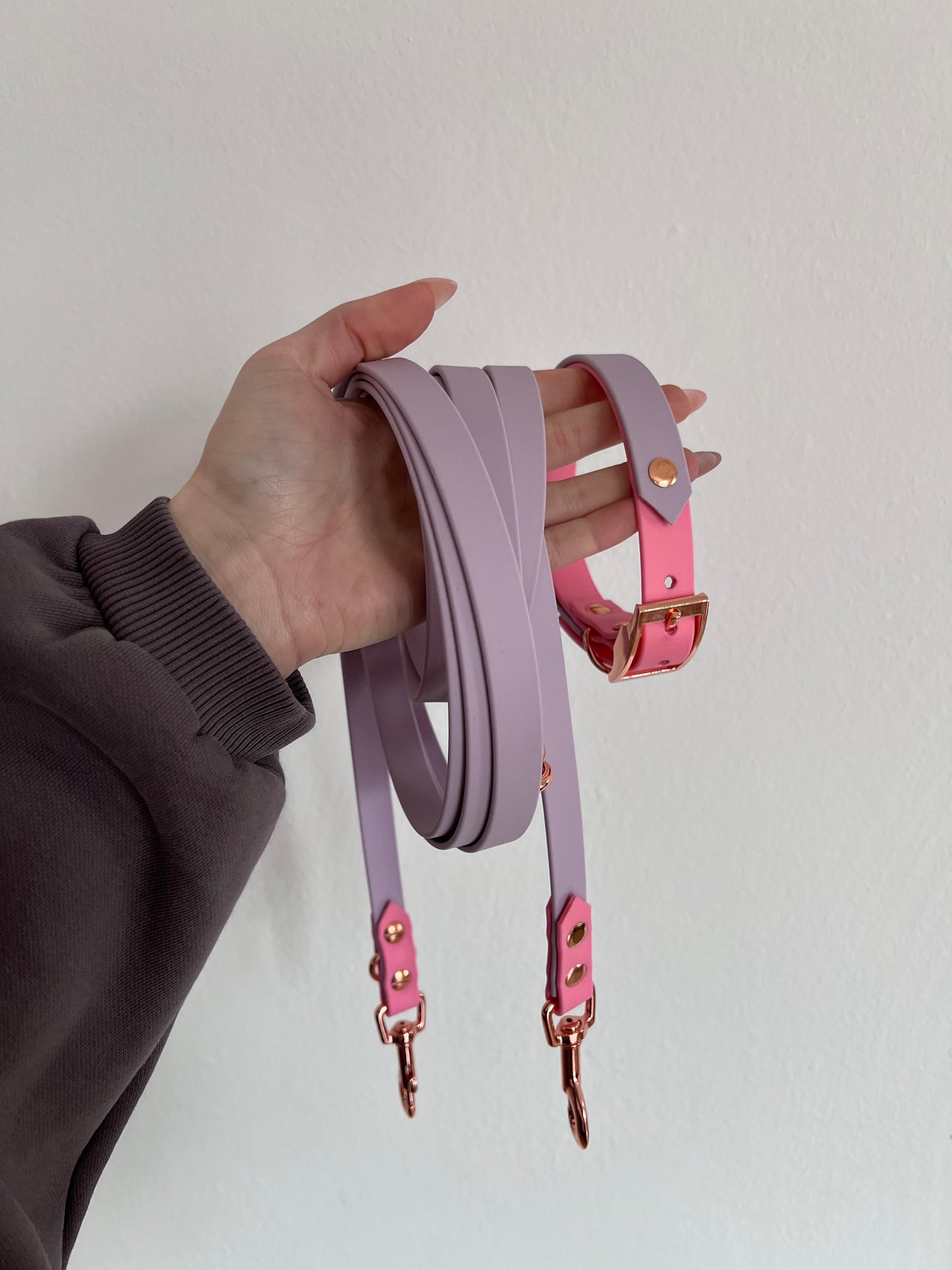 2 Farbige Biothane Leinen/Halsbänder