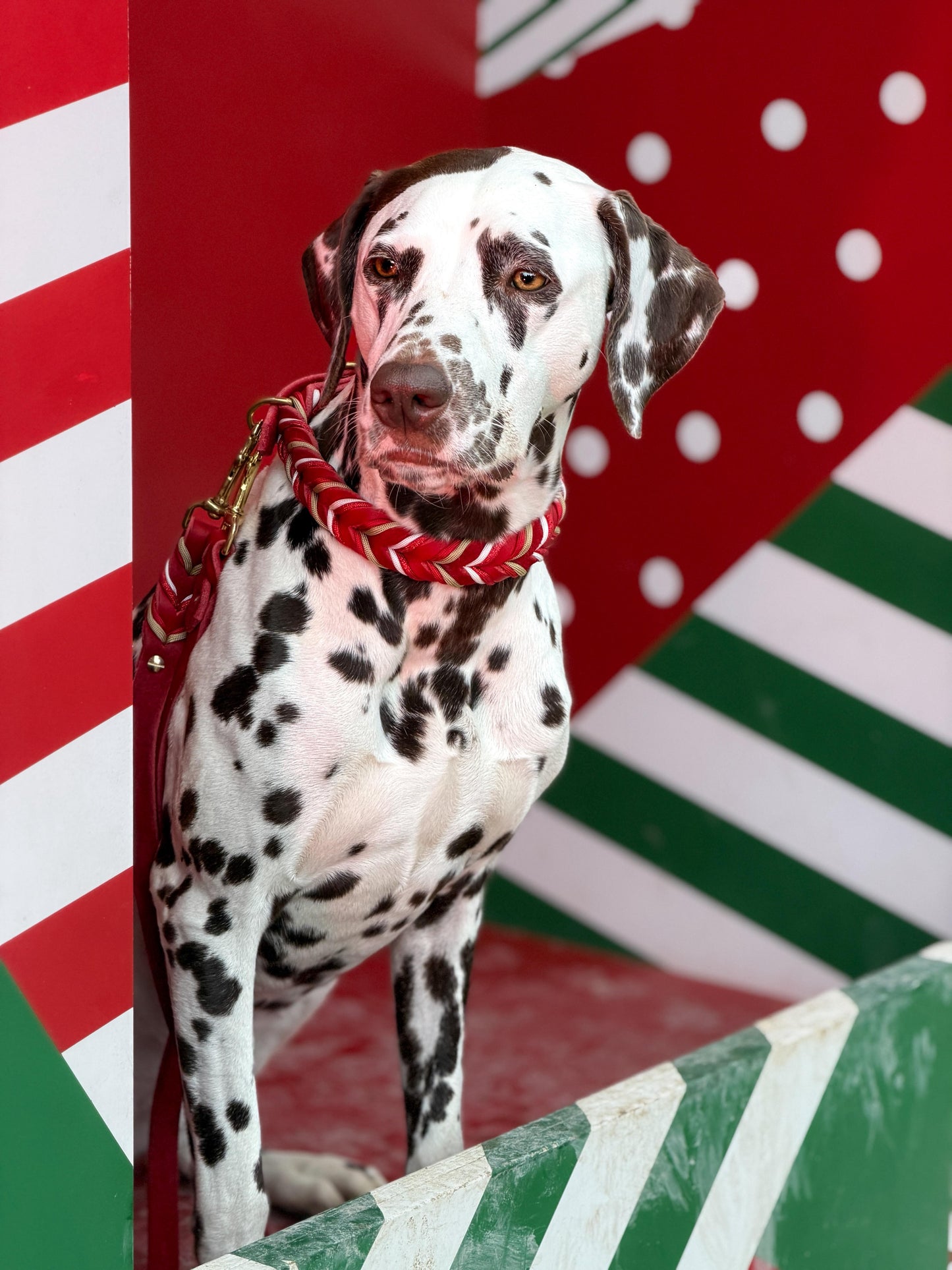 Betty‘s Christmas Love