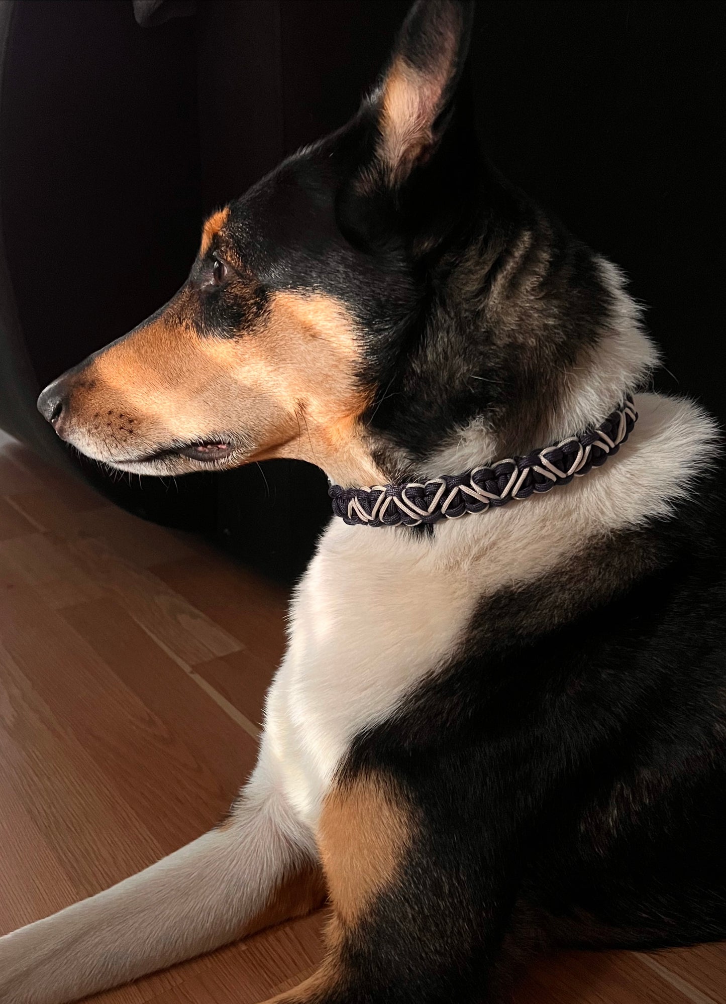 Paracord Halsband „Herzi“