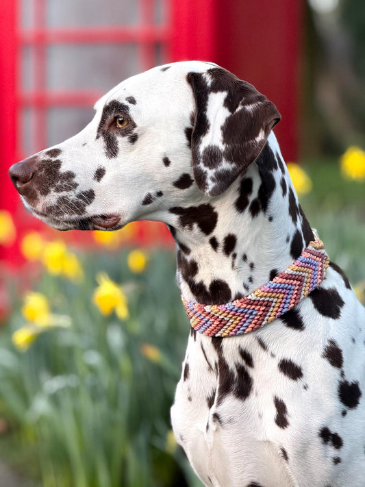 Betty´s Blumenwiese