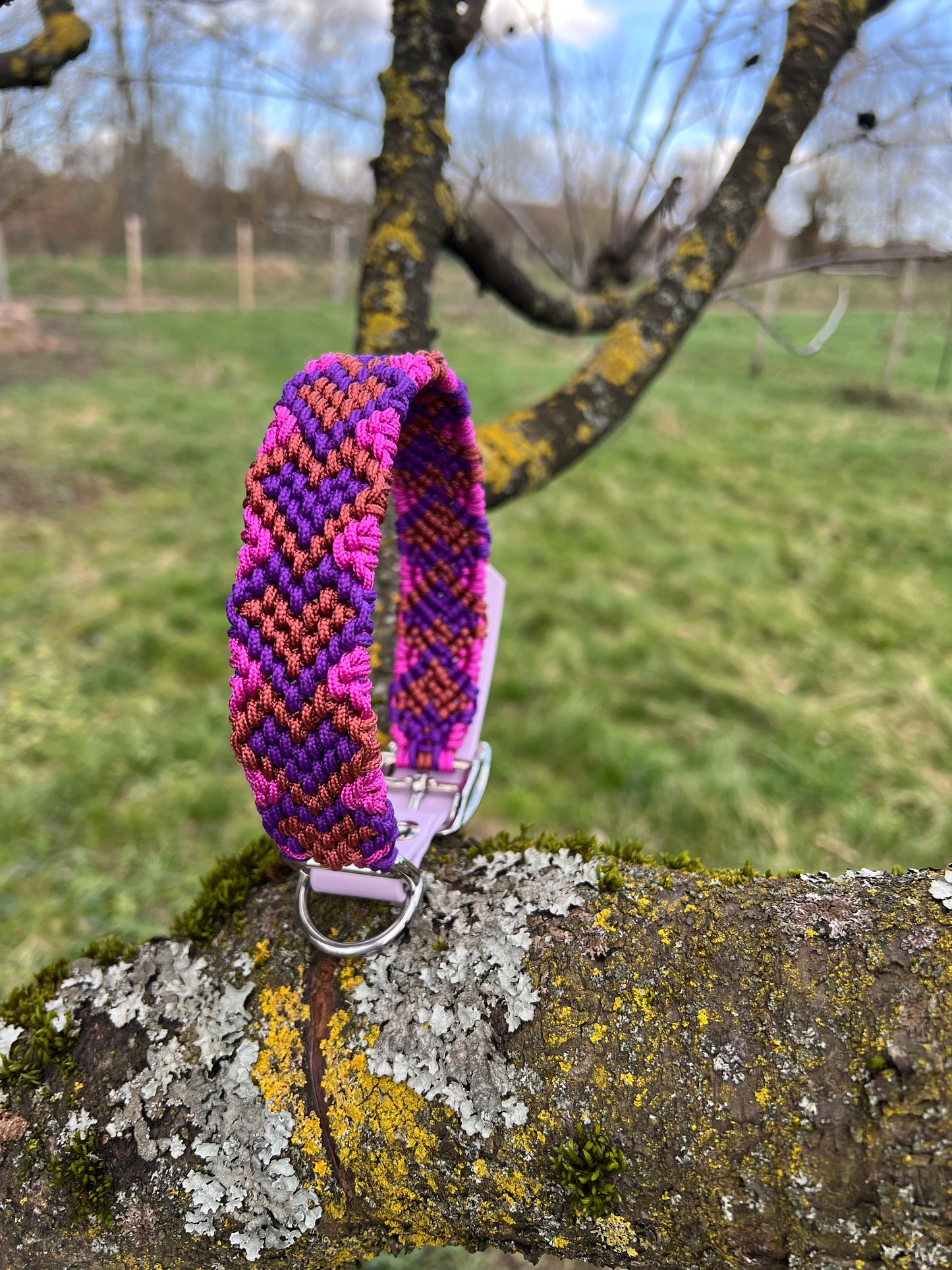 Halsband „Balou“