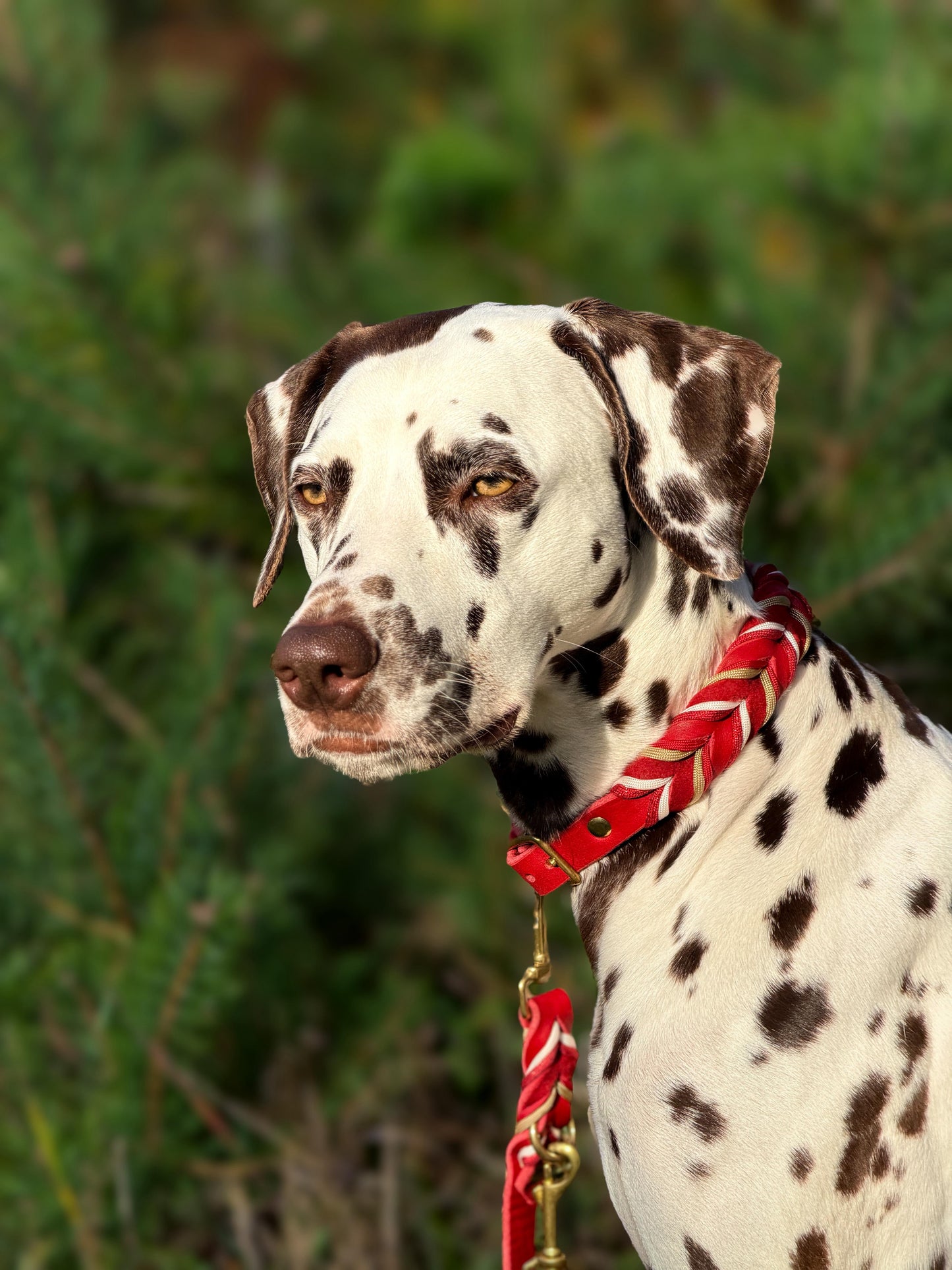 Betty‘s Christmas Love