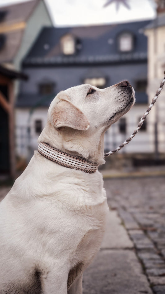 Diona´s weihnachtliche Eleganz