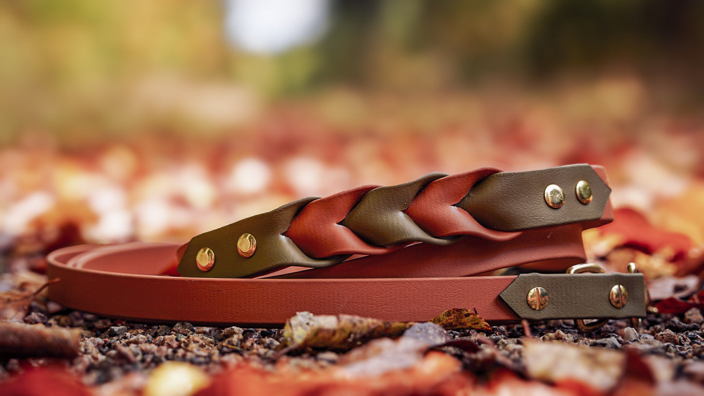 Biothane – Stilvoll, robust & wetterfest