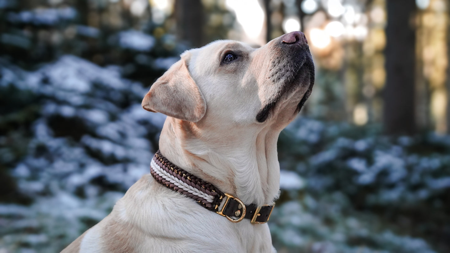 Bino´s Lebkuchenwunder