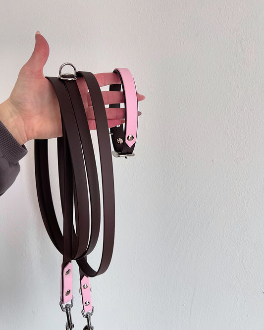 2 Farbige Biothane Leinen/Halsbänder