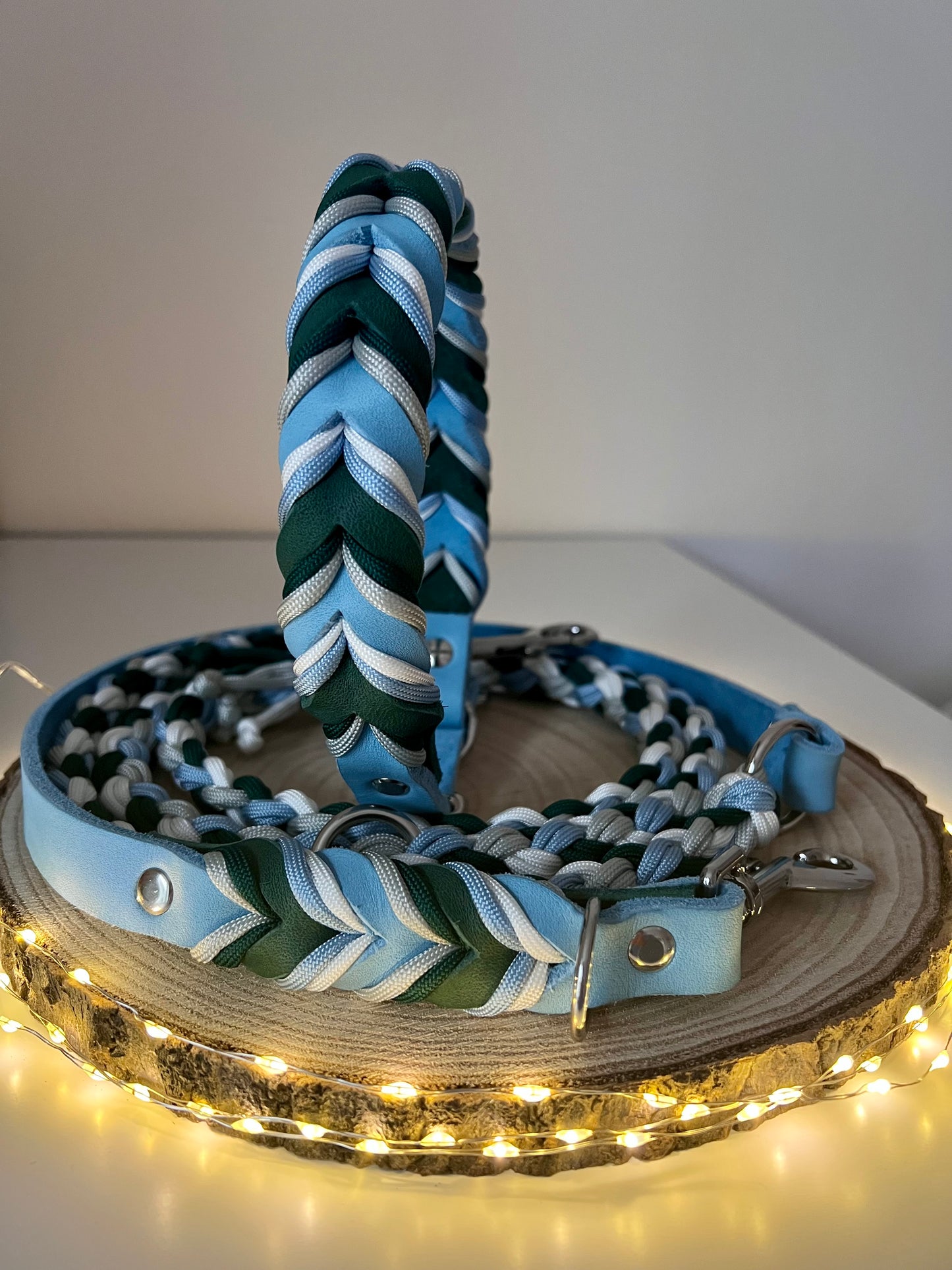 Gino‘s Winter Forest