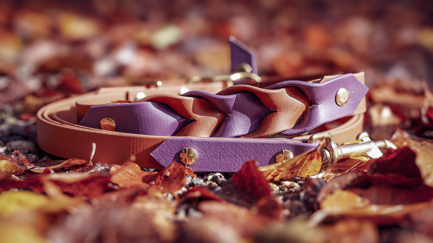 Biothane – Stilvoll, robust & wetterfest