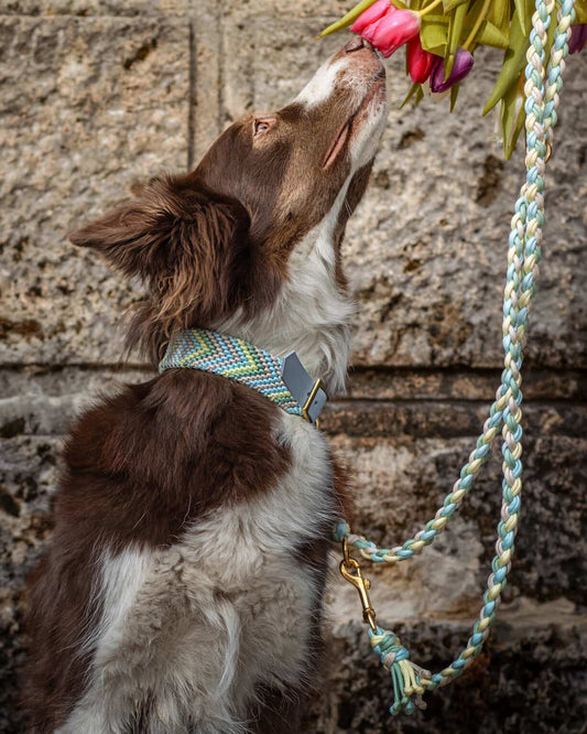 Gino´s Frühlingserwachen