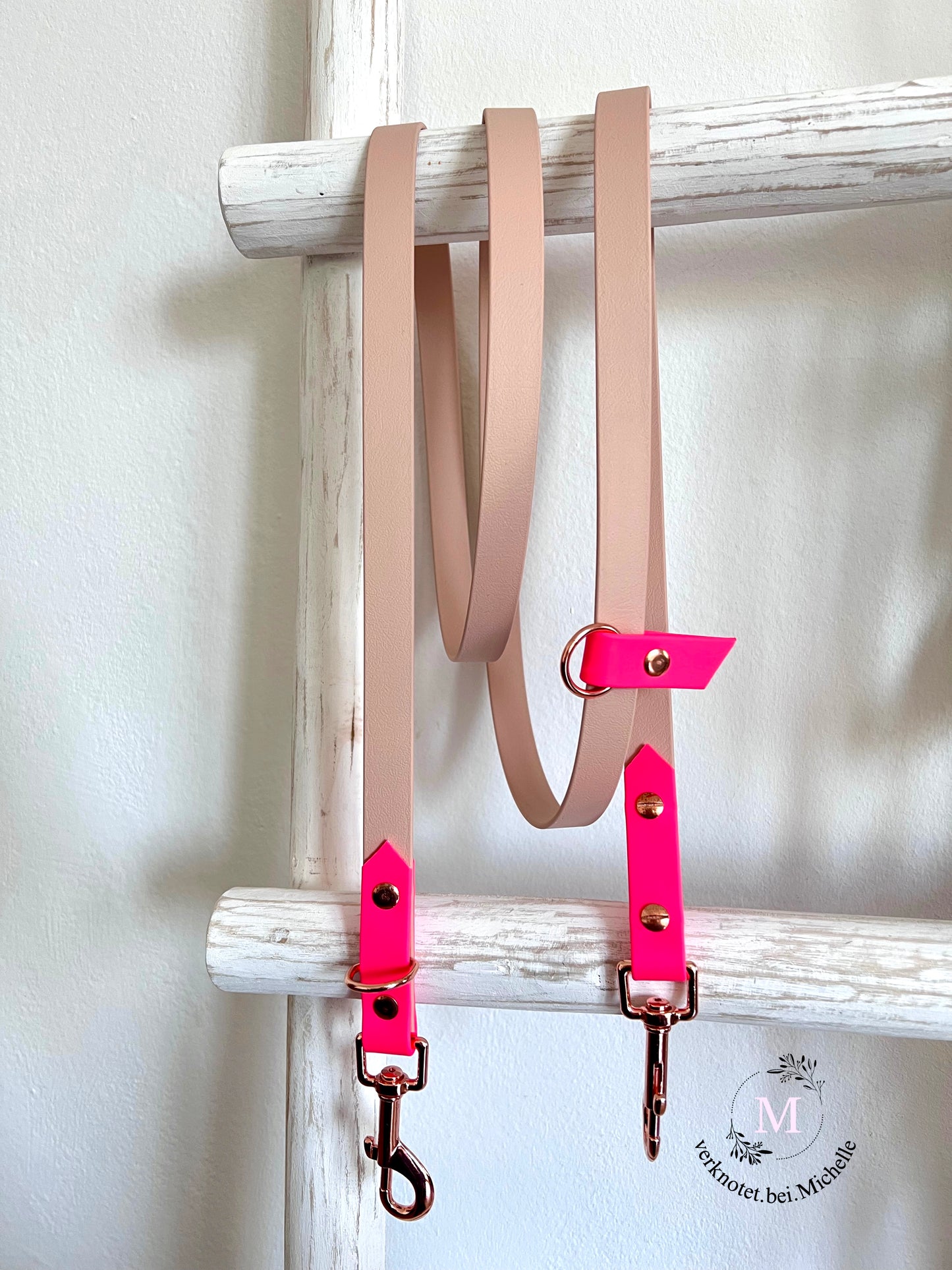 2 Farbige Biothane Leinen/Halsbänder