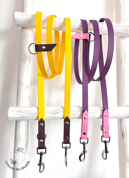 2 Farbige Biothane Leinen/Halsbänder