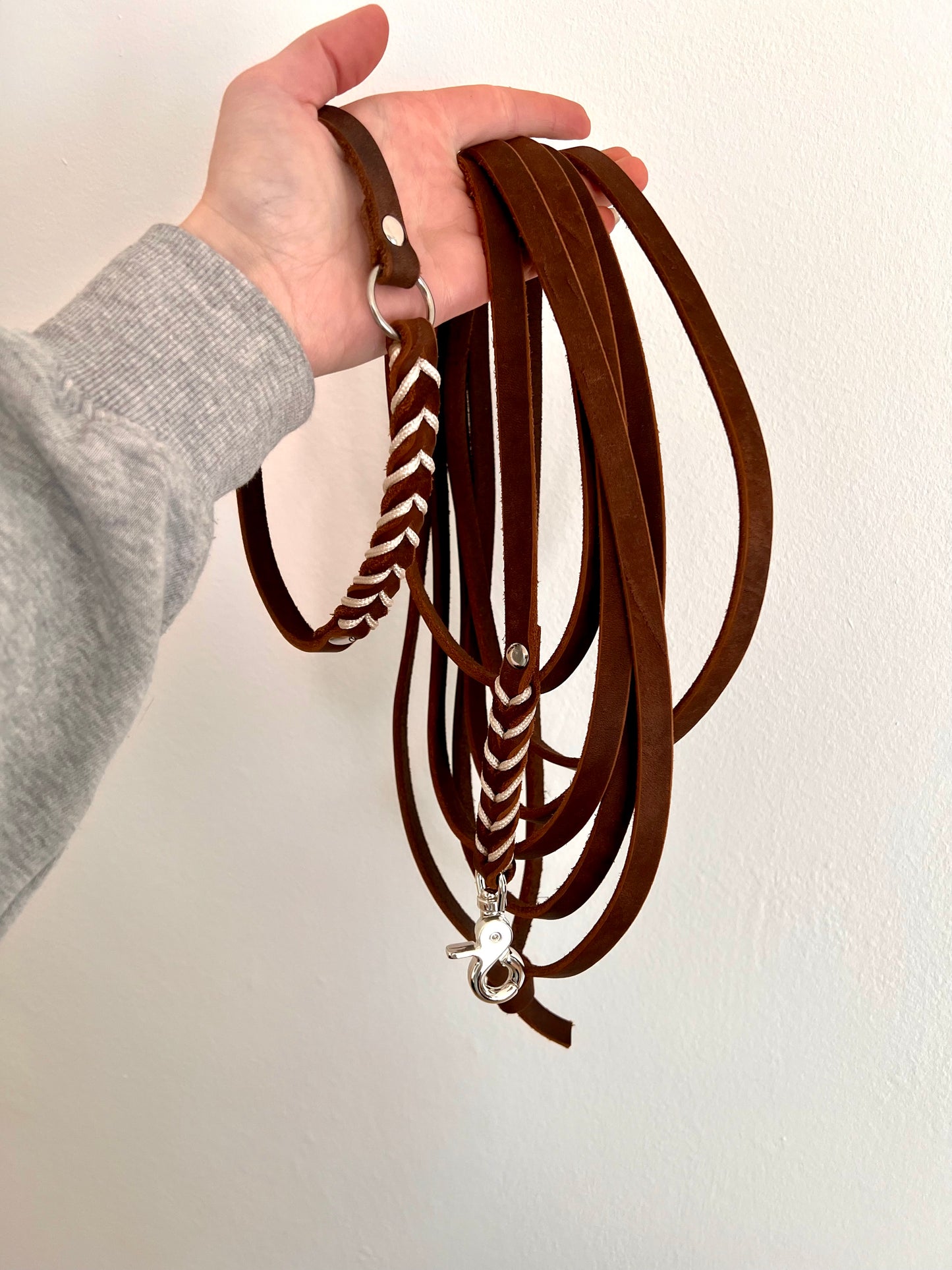 Markenhalsband + Schleppleine