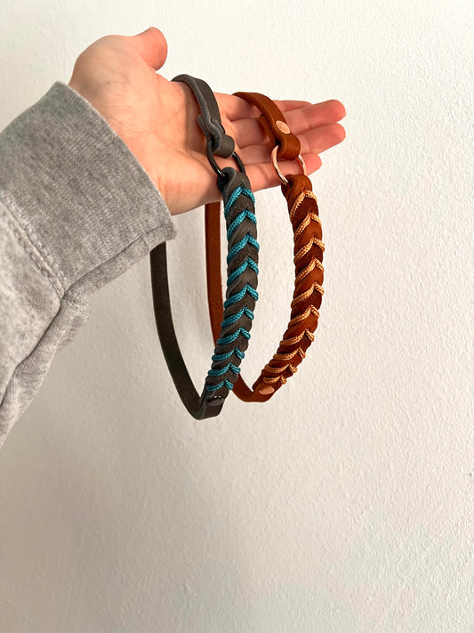 Markenhalsband + Schleppleine